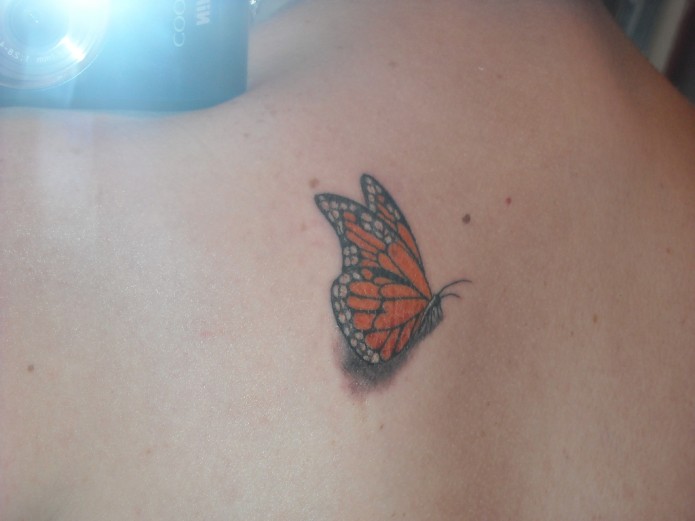 16 Beautiful Butterfly Tattoos Tattoo Me Now 16 Beautiful Butterfly Tattoos Tattoo Me Now