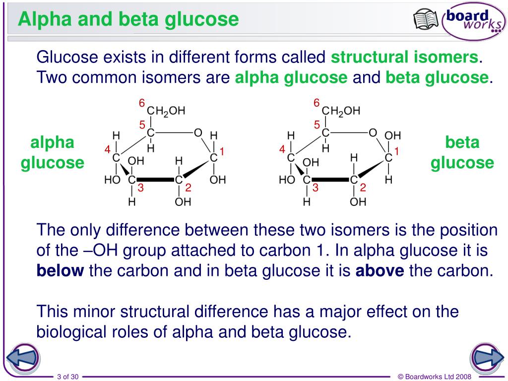 Alpha Vs Beta Glucose Differences And Similarities Howchimp Alpha Vs Beta Glucose Differences And Similarities Howchimp