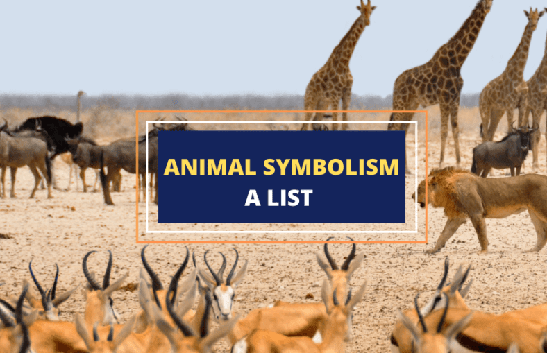 Animal Symbolism An A To Z Guide Symbol Sage Animal Symbolism An A To Z Guide Symbol Sage