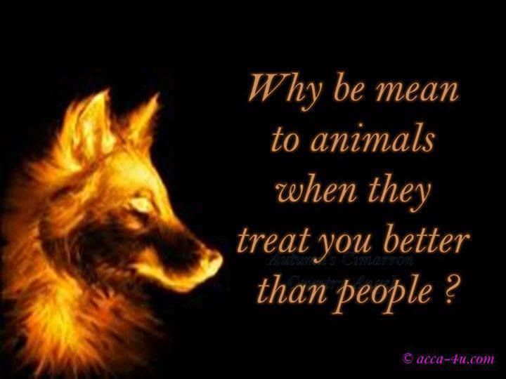 Animals and Their Symbolic Meanings Explained
