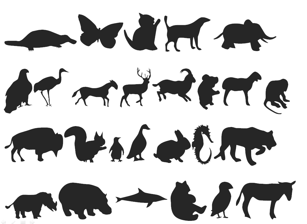 Unleash the Power: Animals as Symbols Explained