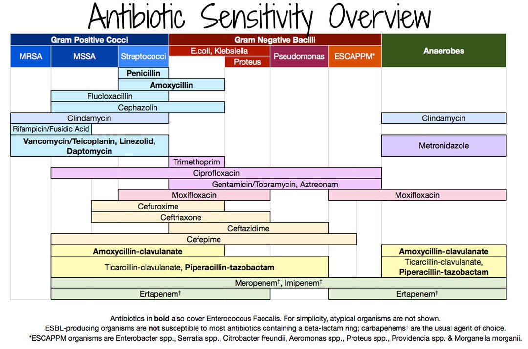 Antimicrobial Sensitivity Chart: Essential Guide for Effective Treatment