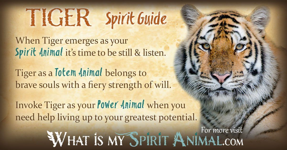 Blackbird Symbolism Meaning Blackbird Spirit Totem Power Animal Blackbird Symbolism Meaning Blackbird Spirit Totem Power Animal