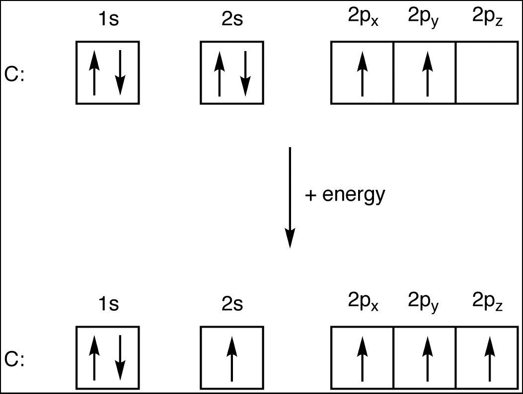 Carbon Electron Configuration: Unlocking the Atomic Mystery