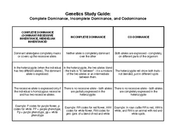 Complete Dominance Genetics: Unlocking Traits Explained Simply