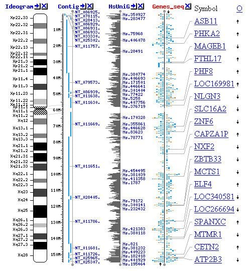 Unlocking Cancer Insights: Computational Biology Subfields Explained