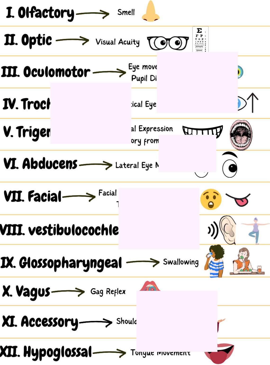Cranial Nerves Remember Trick: Easy Mnemonic Guide