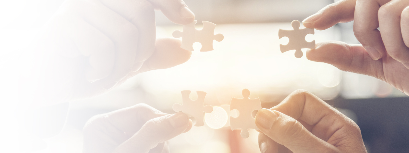Uncover the CSI Career Path: Your Guide to Forensic Success