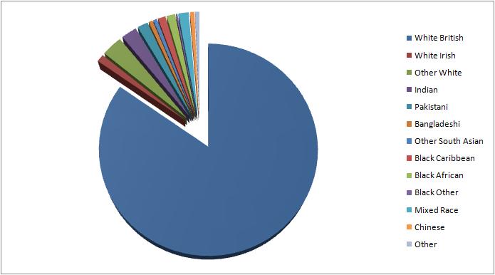 Difference Between Ethnicity And Nationality With Examples And Difference Between Ethnicity And Nationality With Examples And