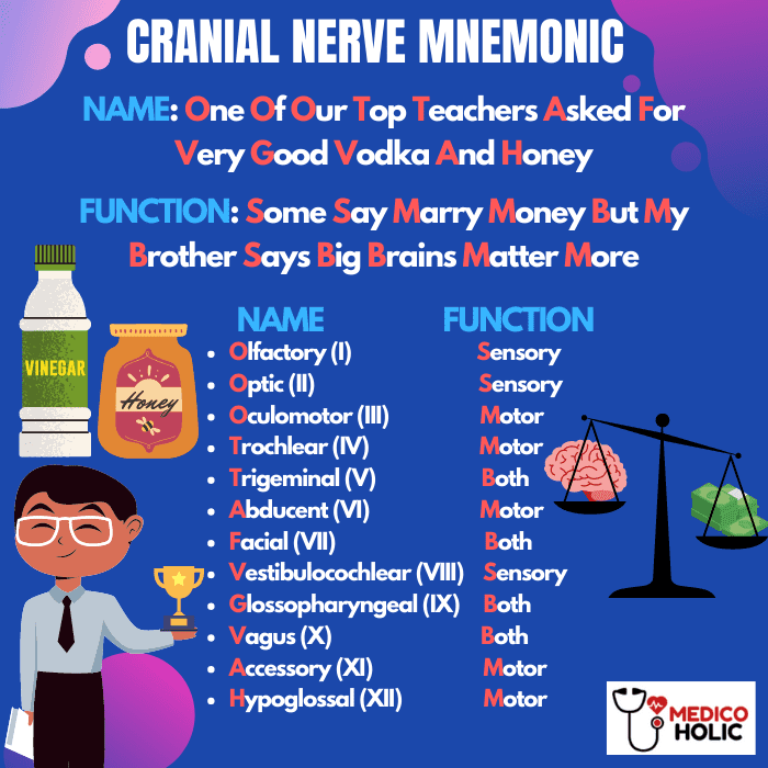 Dirty Mnemonic for Cranial Nerves: Quick Recall Tips