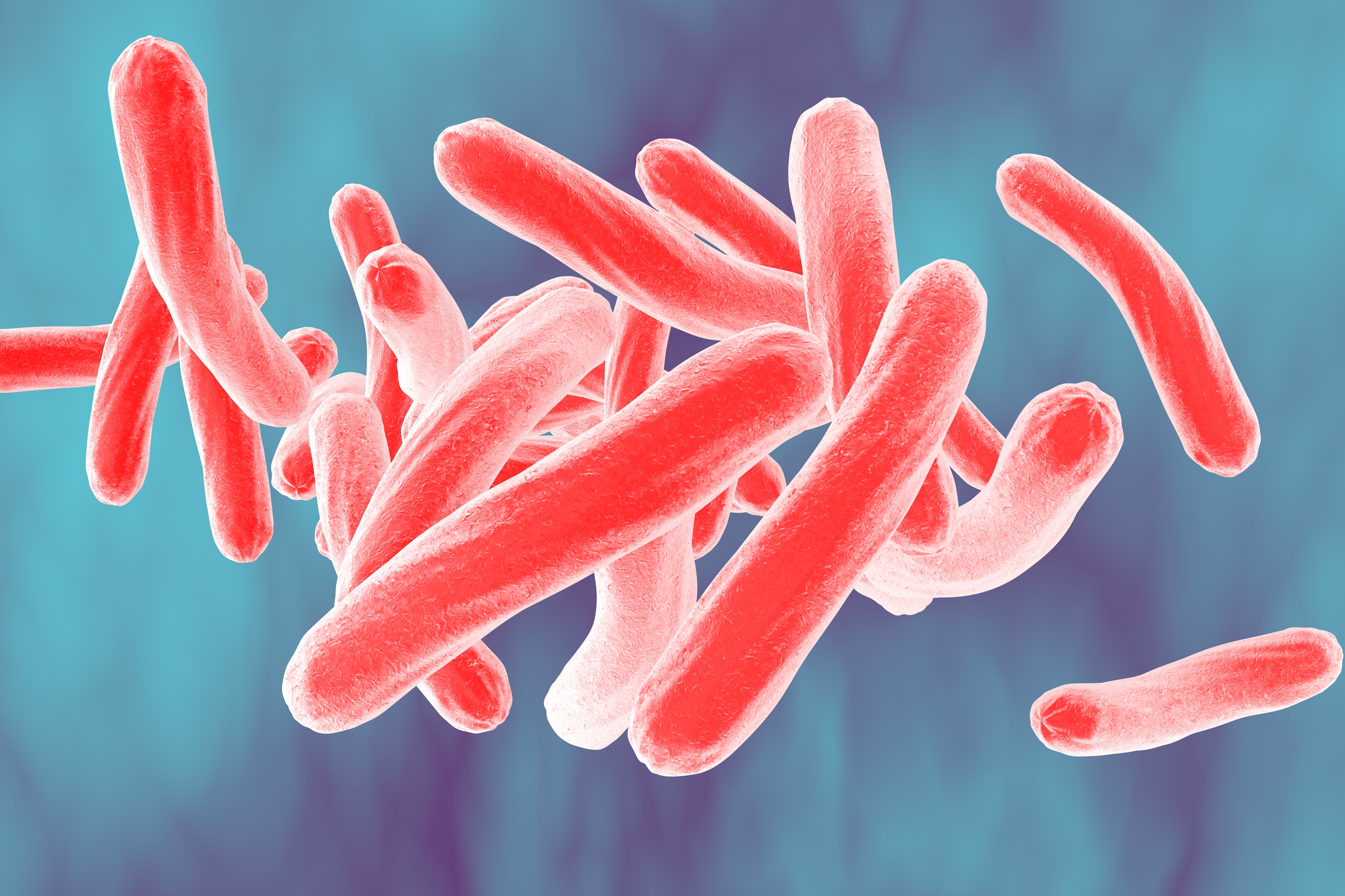 Fun With Microbiology What S Buggin You Mycobacterium Tuberculosis Fun With Microbiology What S Buggin You Mycobacterium Tuberculosis