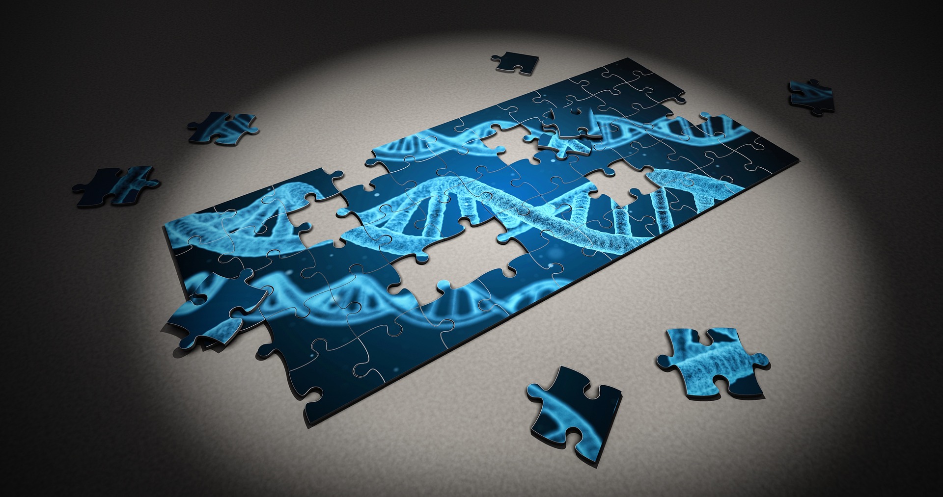 Health Informatics Career: Your Path to Success