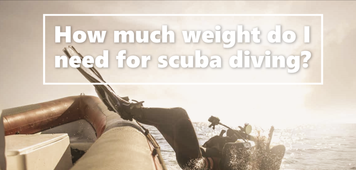 How Much Weight to Use for Safe and Effective Diving