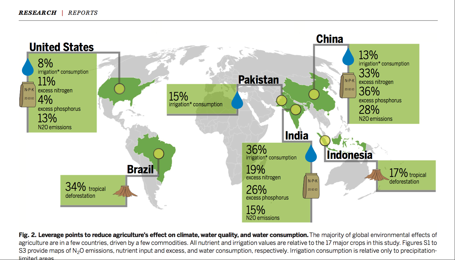 How Olericulture Transforms Modern Agriculture: Key Insights