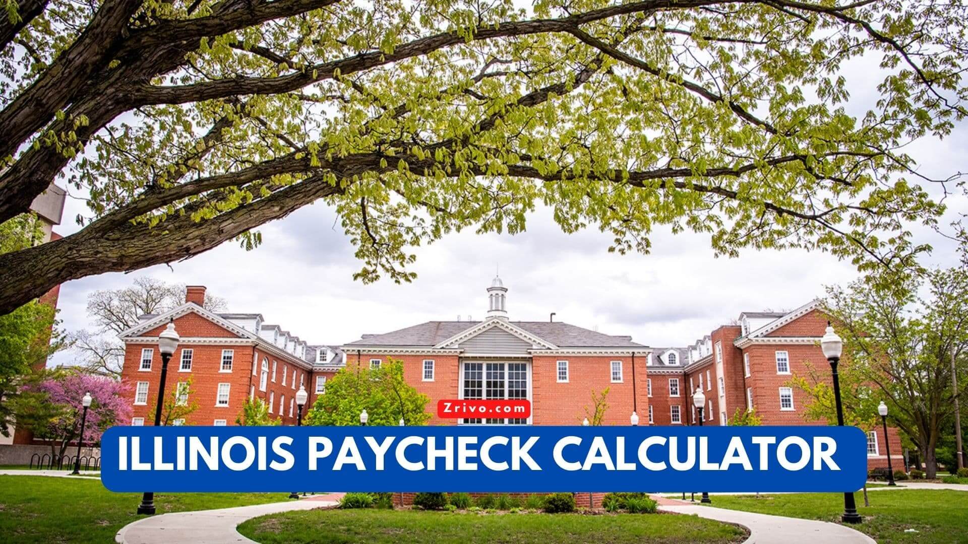 Illinois Paycheck Calculator: Accurate Earnings Estimation