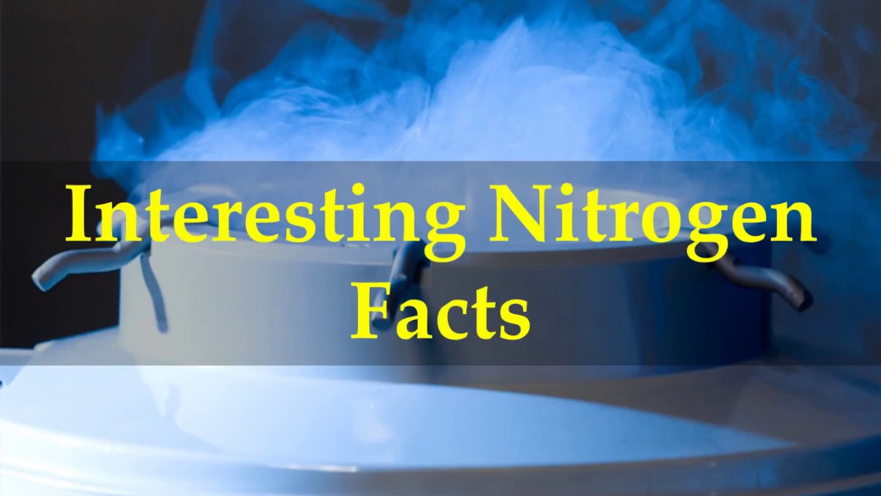 Important Nitrogen Facts Nitrogen Cycle And The Soil Youtube Important Nitrogen Facts Nitrogen Cycle And The Soil Youtube