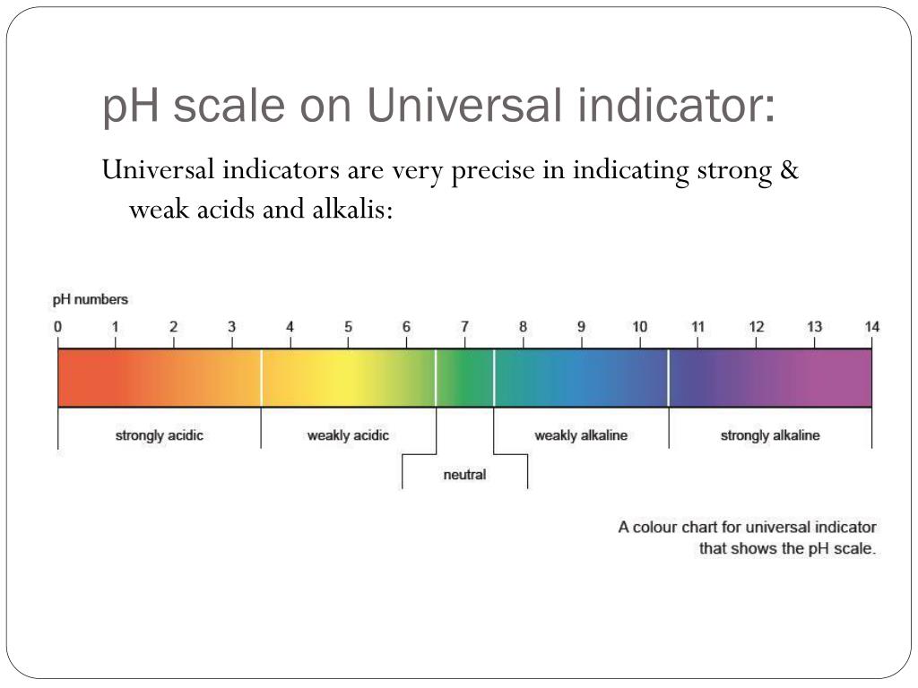 Indicators For Weak Base At William Huntsberry Blog Indicators For Weak Base At William Huntsberry Blog
