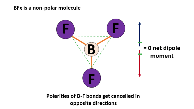Is BF3 Polar or Nonpolar? A Quick Chemistry Guide