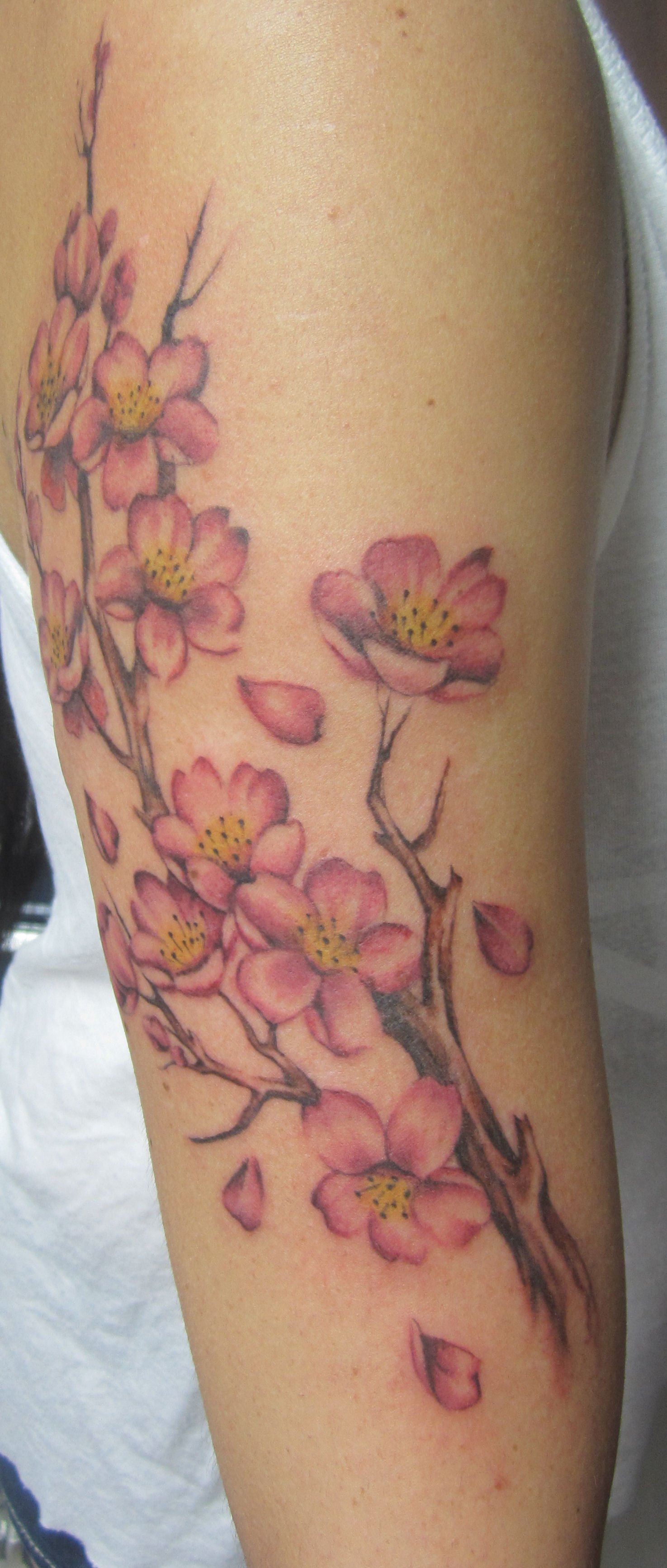 Japanese Blossom Flower Tattoos: Meaning & Designs  
Cherry Blossom Tattoos: Japanese Art & Symbolism  
Elegant Japanese Blossom Tattoo Ideas & Inspiration  
Japanese Blossom Tattoos: Beauty & Cultural Significance  
Stunning Cherry Blossom Tattoo Designs: Japanese Style