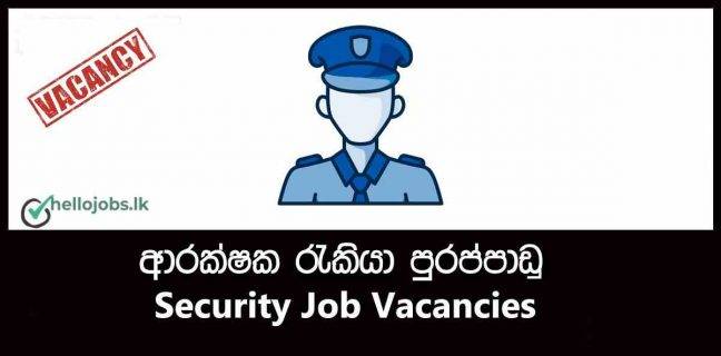 Top 10 Jobs with Unmatched Job Security in 2023