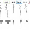 Exploring Careers with the Root 'Vis'