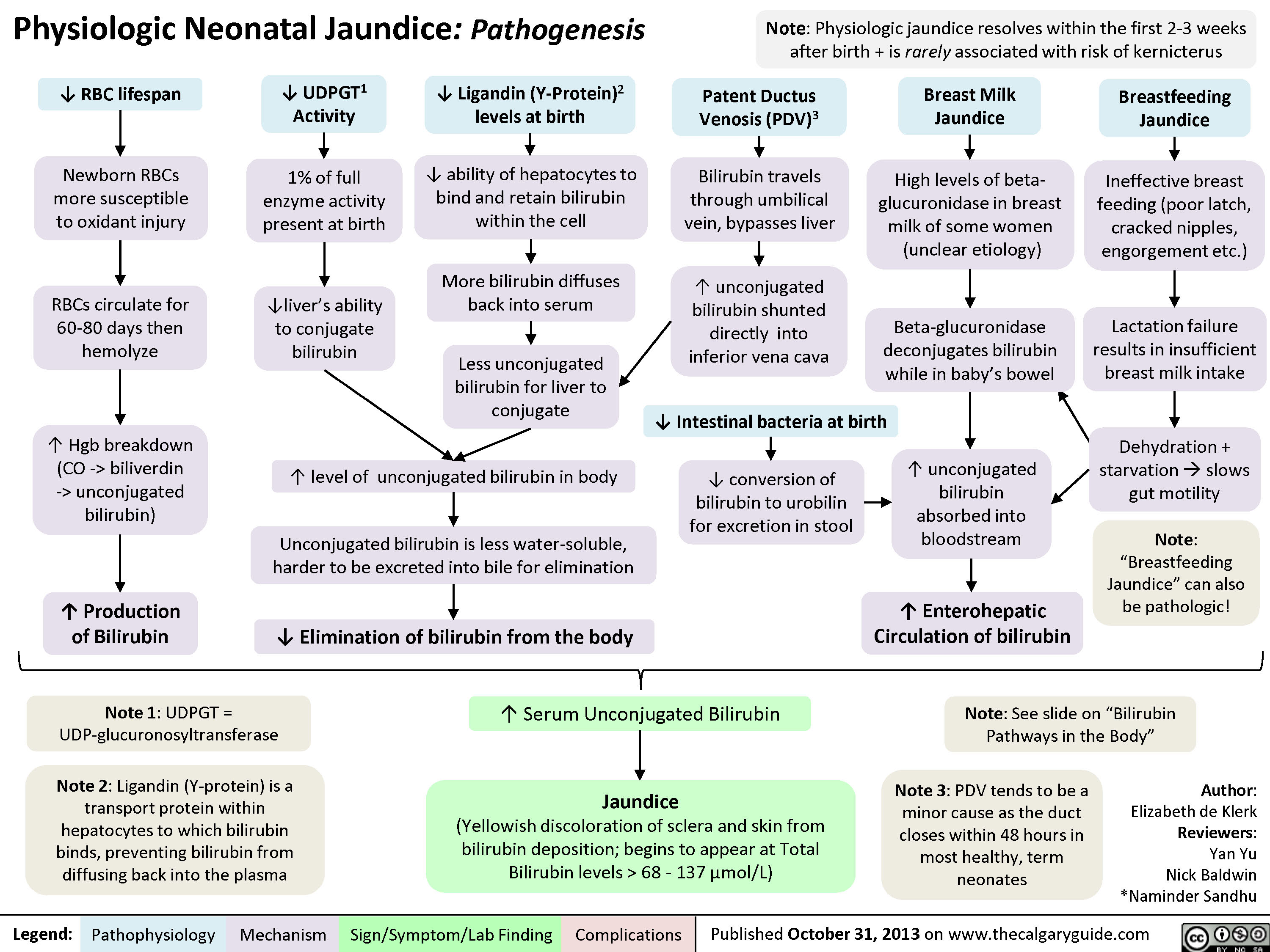 Neonatal Neonatal
