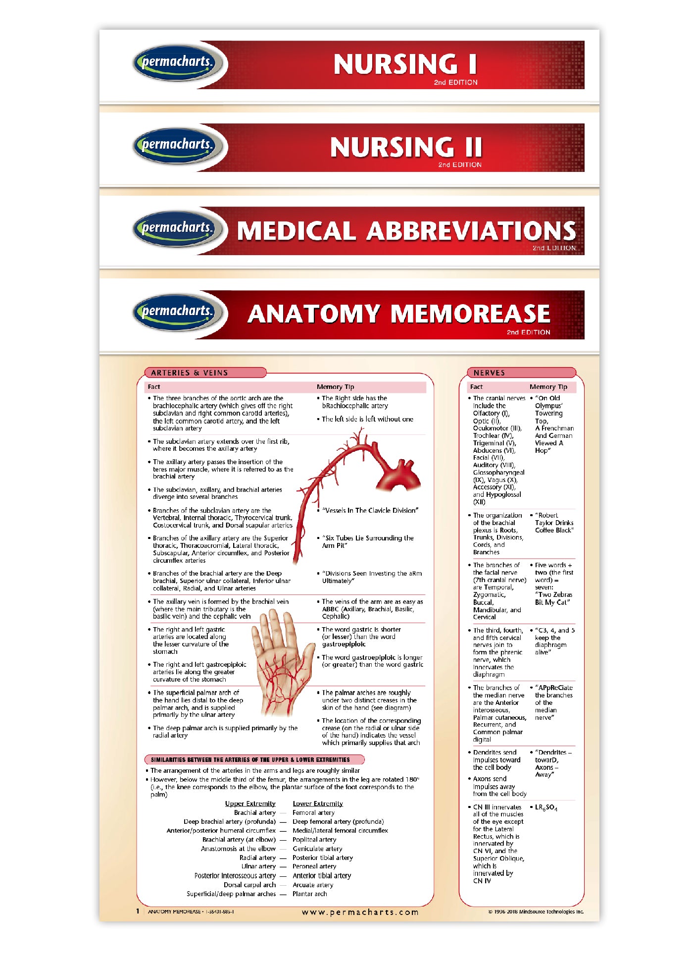 Nursing I Medical Quick Reference Guides Pocket Charts Bundle Nursing I Medical Quick Reference Guides Pocket Charts Bundle