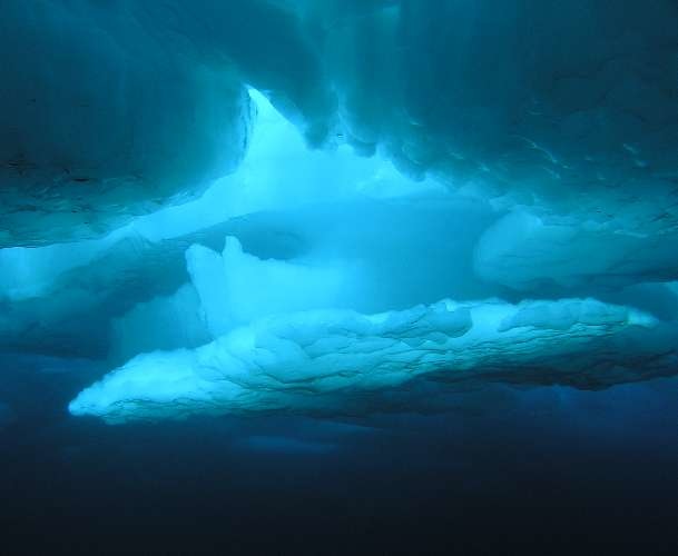 Essential Abiotic Factors Shaping Ocean Ecosystems