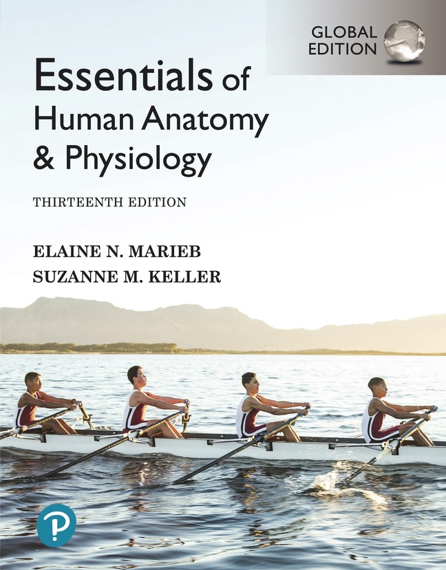 Pearson Education Essentials Of Human Anatomy Physiology Plus Pearson Education Essentials Of Human Anatomy Physiology Plus