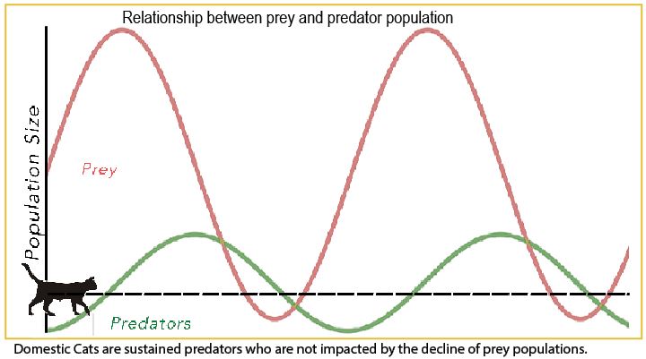 Predator-Prey Graphs: Visualizing Nature's Balance