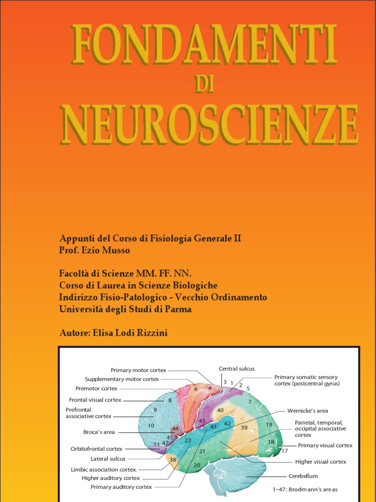 Squire Fondamenti Di Neuroscienze Squire Fondamenti Di Neuroscienze