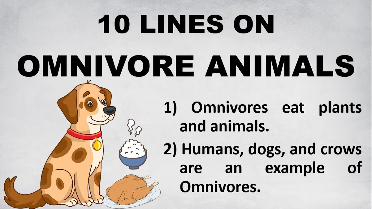 Ten Omnivores Thriving at Lake: A Wildlife Guide
