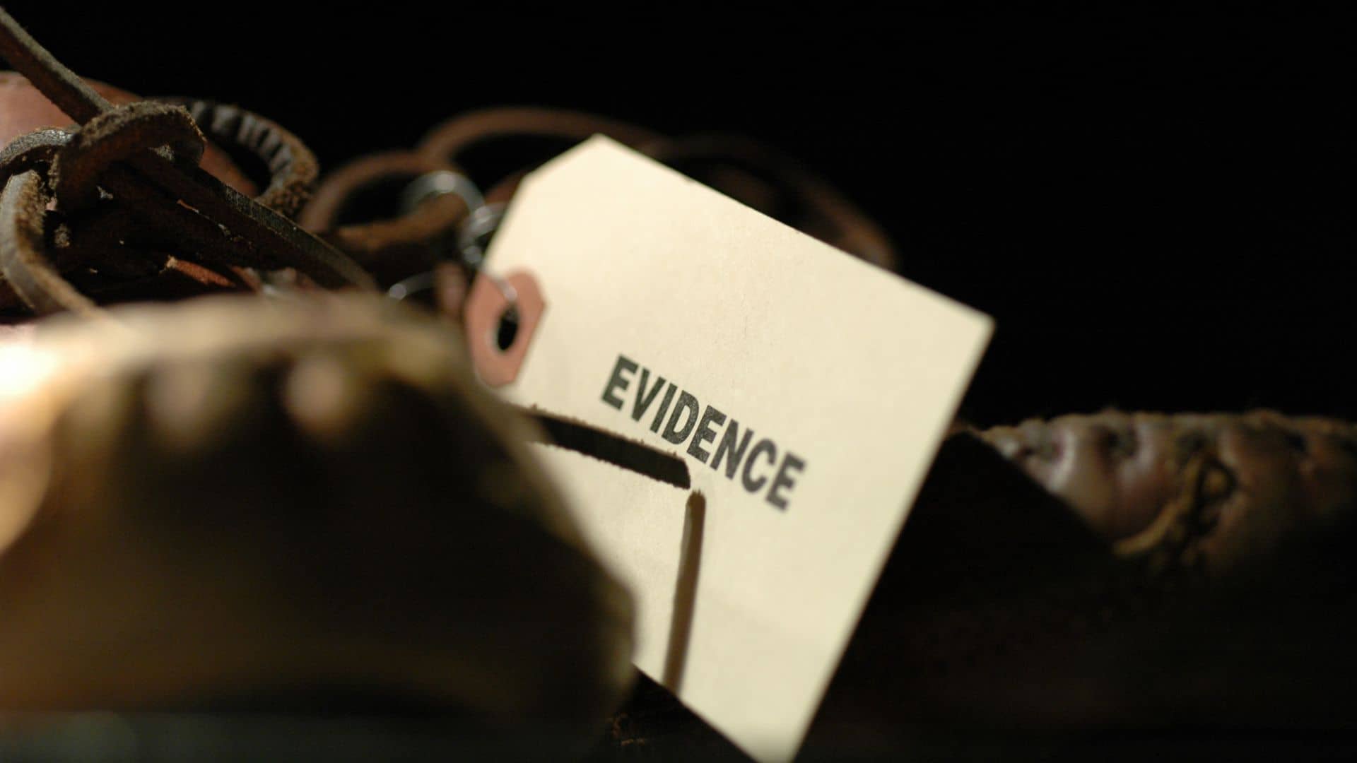 Testimonial Evidence in Juvenile Cases: Key Insights & Tips