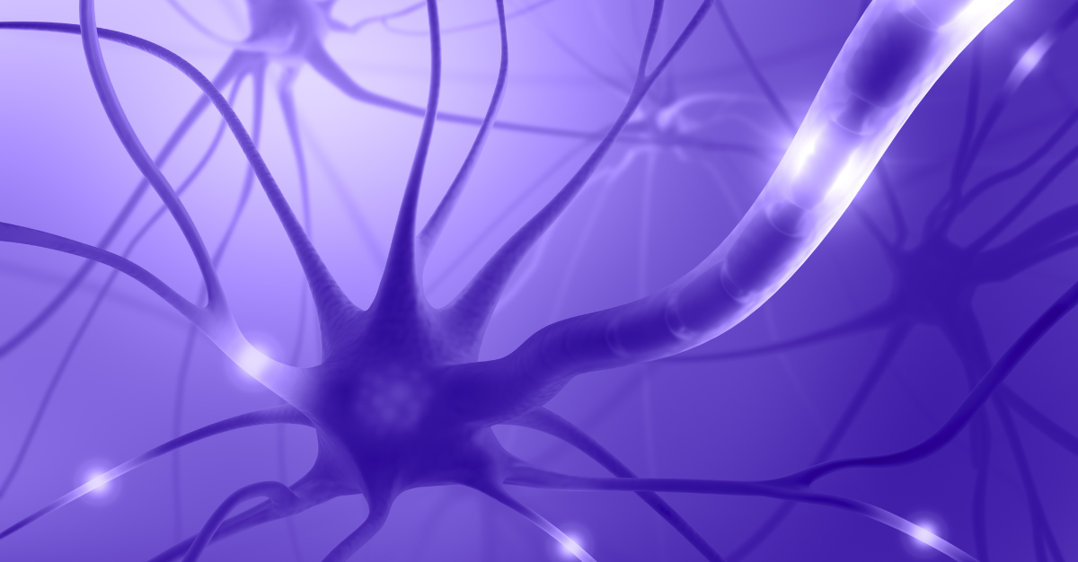 The Vagus Nerve A Key Player In Mind Body Connection And Well Being The Vagus Nerve A Key Player In Mind Body Connection And Well Being