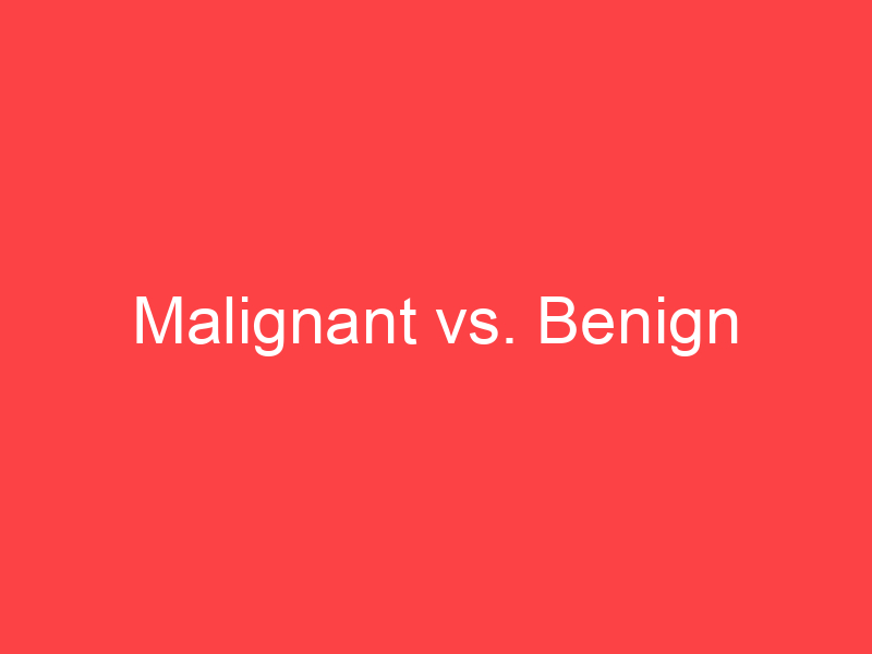 Understanding the Theory of Benign Indifference: A Simple Guide Understanding the Theory of Benign Indifference: A Simple Guide