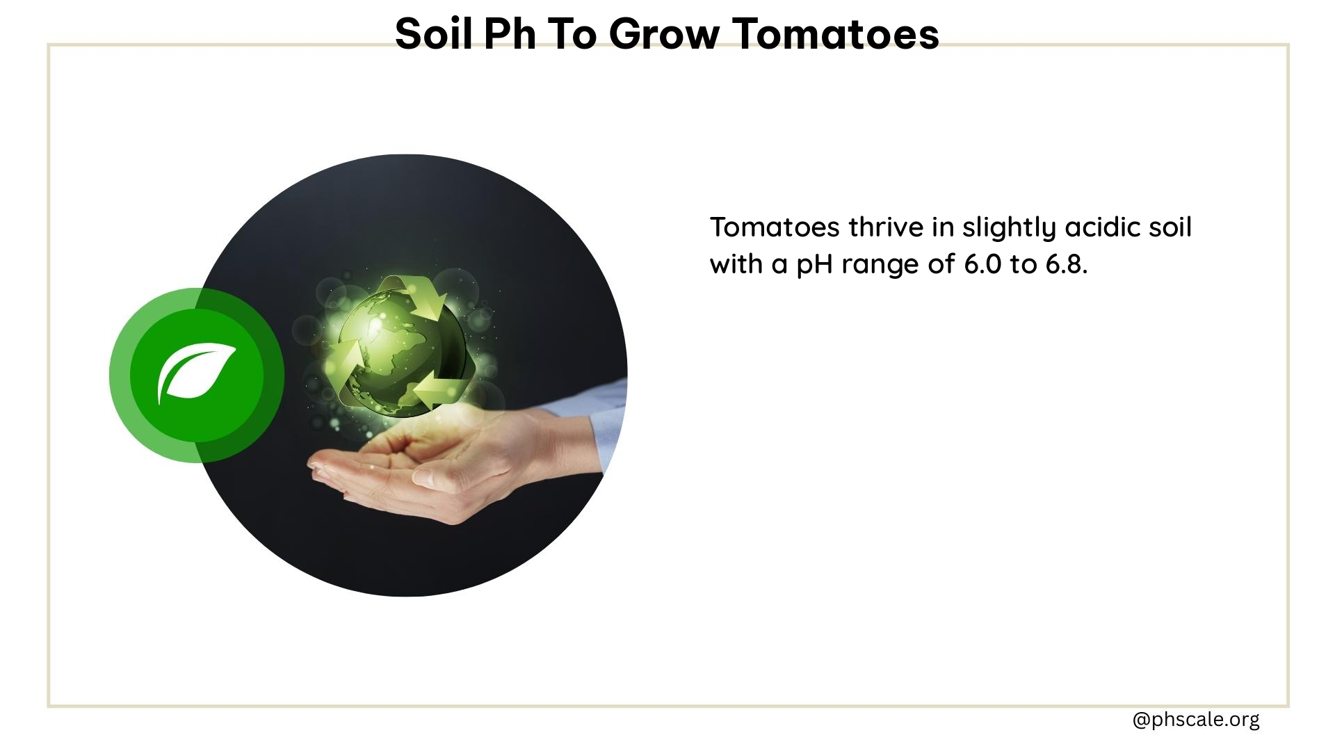 Optimal pH for Growing Juicy Tomatoes: Soil Secrets Revealed