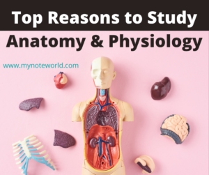 Top Reasons To Study Anatomy And Physiology Top Reasons To Study Anatomy And Physiology