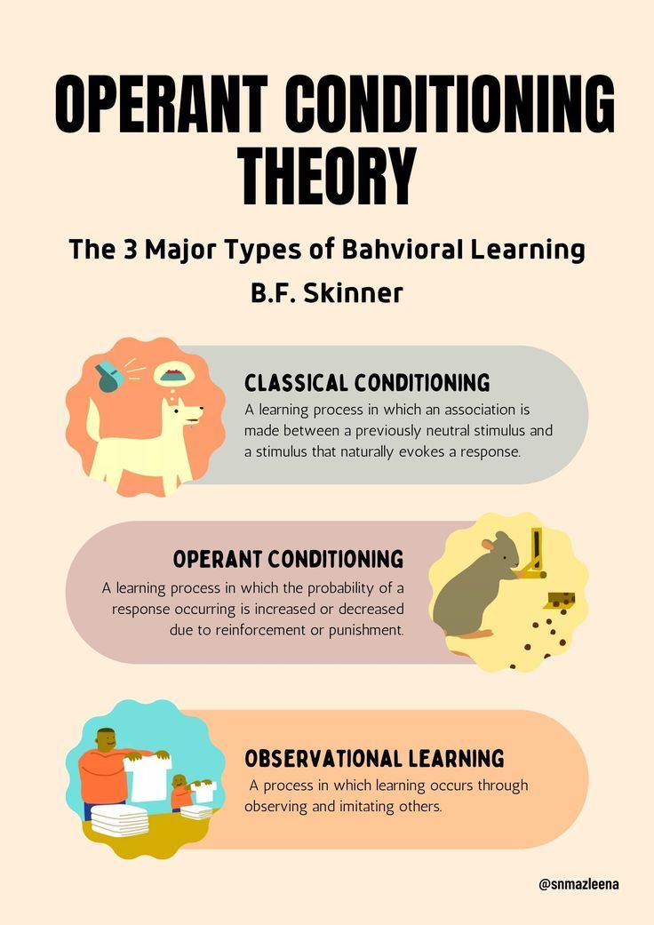 Types of Conditioning in Psychology Explained