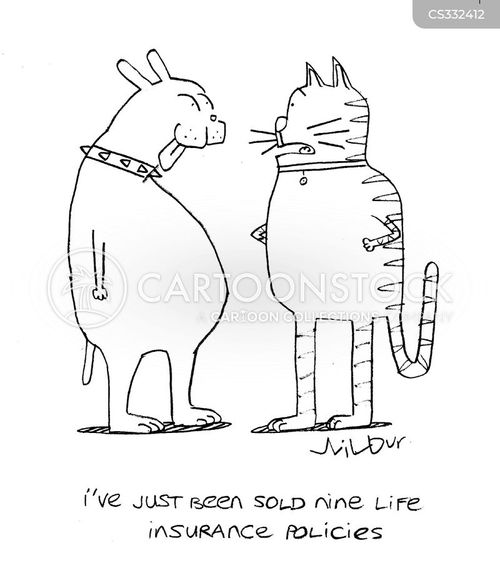 Unveiling The Mysteries Behind Your Cat S Nine Lives Unveiling The Mysteries Behind Your Cat S Nine Lives