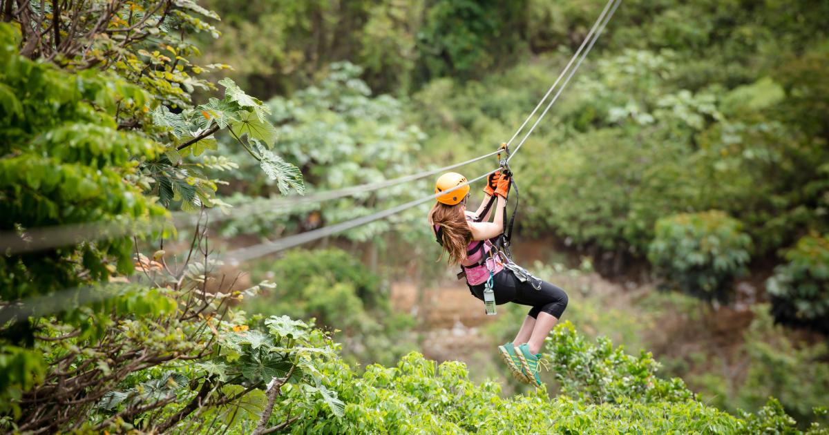 Visit Toro Verde Nature Adventure Park Discover Puerto Rico Visit Toro Verde Nature Adventure Park Discover Puerto Rico