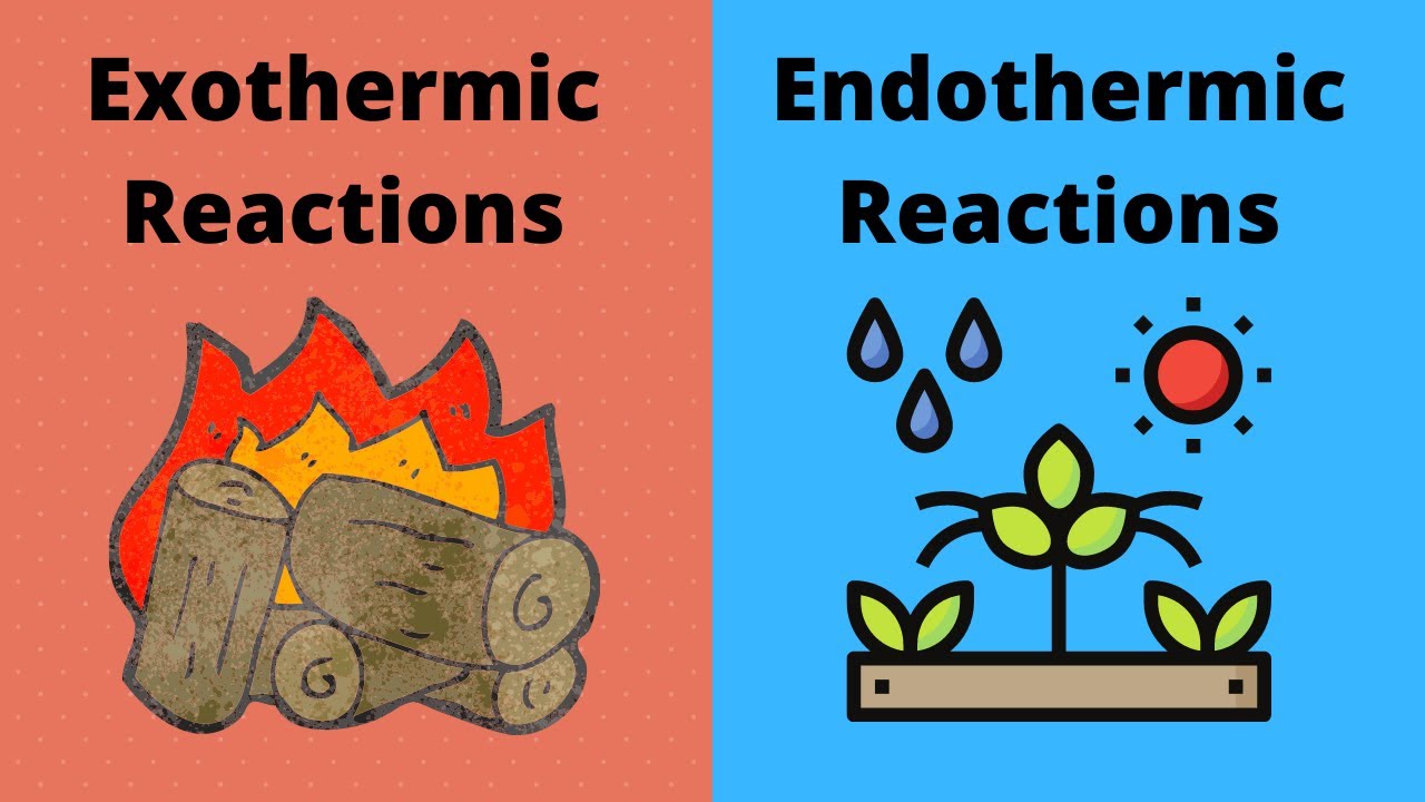 What Are Endothermic Reactions With Examples Video What Are Endothermic Reactions With Examples Video