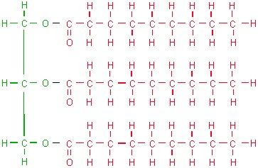 What is a Lipid Monomer? What is a Lipid Monomer?