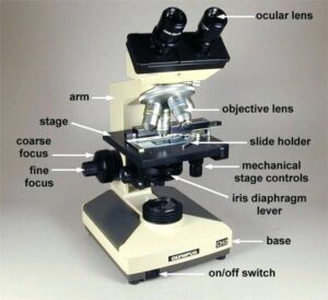 Understanding the Microscope Diaphragm: Function and Importance