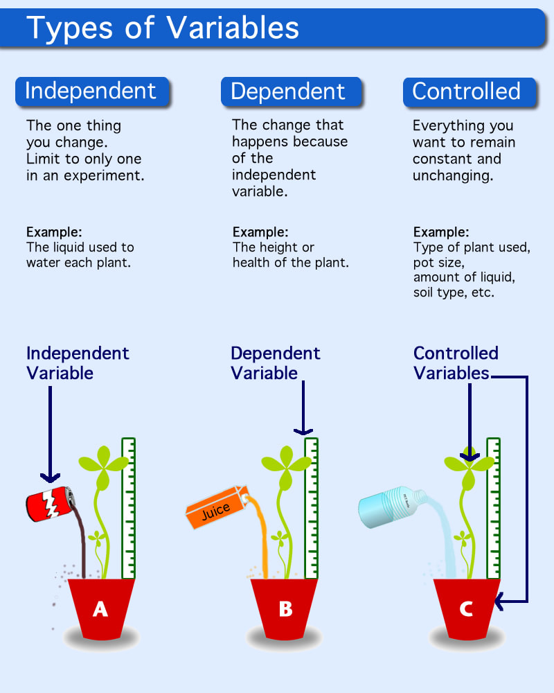 The Importance of Control Variables in Research Explained